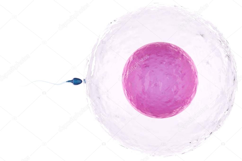 phonlamai
