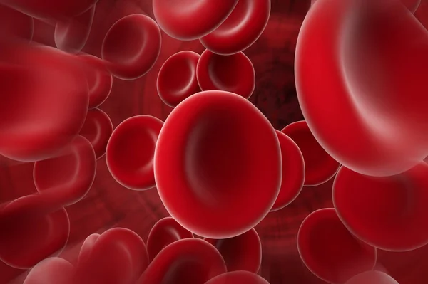 Cellules sanguines rouges — Photo