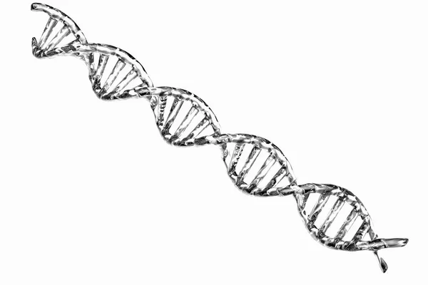 흰색 바탕에 실버 dna 구조 — 스톡 사진