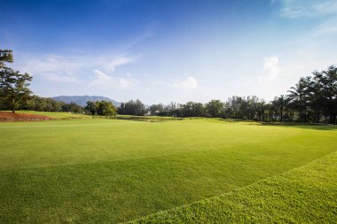 Golf Sahası arka plan