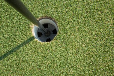 Sarı kutup ile Golf Kupası
