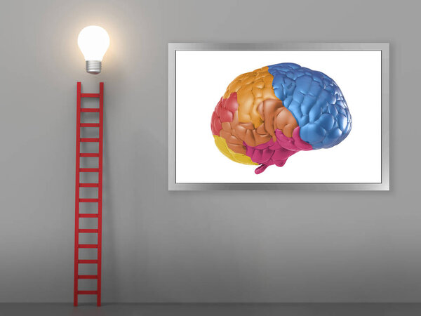 Ladder to success concept with colourful brain and ladder