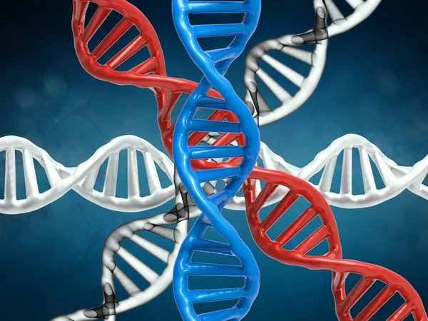 Структура ДНК або спіраль ДНК — стокове фото