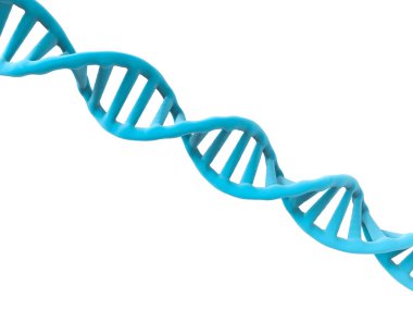 DNA yapısı veya dna sarmalı