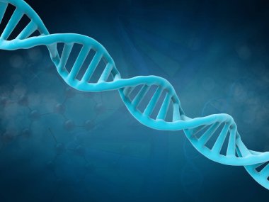 DNA yapısı veya dna sarmalı