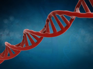 DNA yapısı veya dna sarmalı