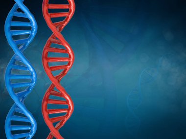 DNA yapısı veya dna sarmalı