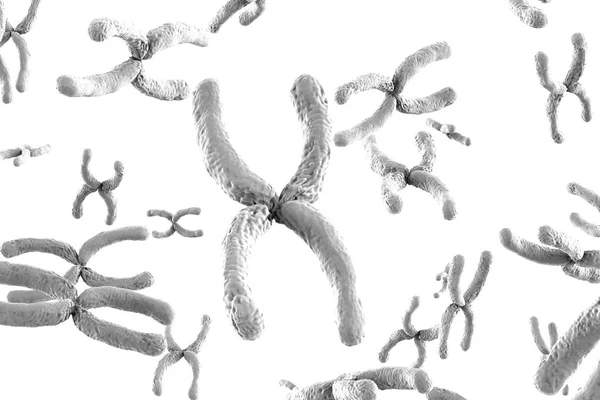 白色背景上的白色染色体 — 图库照片