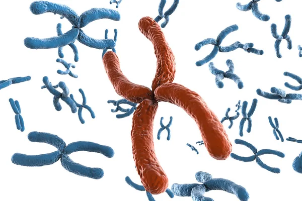 Cromossoma vermelho com cromossomas azuis — Fotografia de Stock