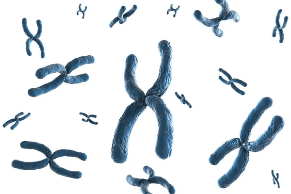 Blue chromosome on white background — Stock Photo, Image