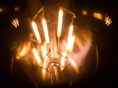 LED diyot yakın çekim