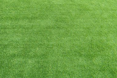 Yeşil Çimen Arkaplanı