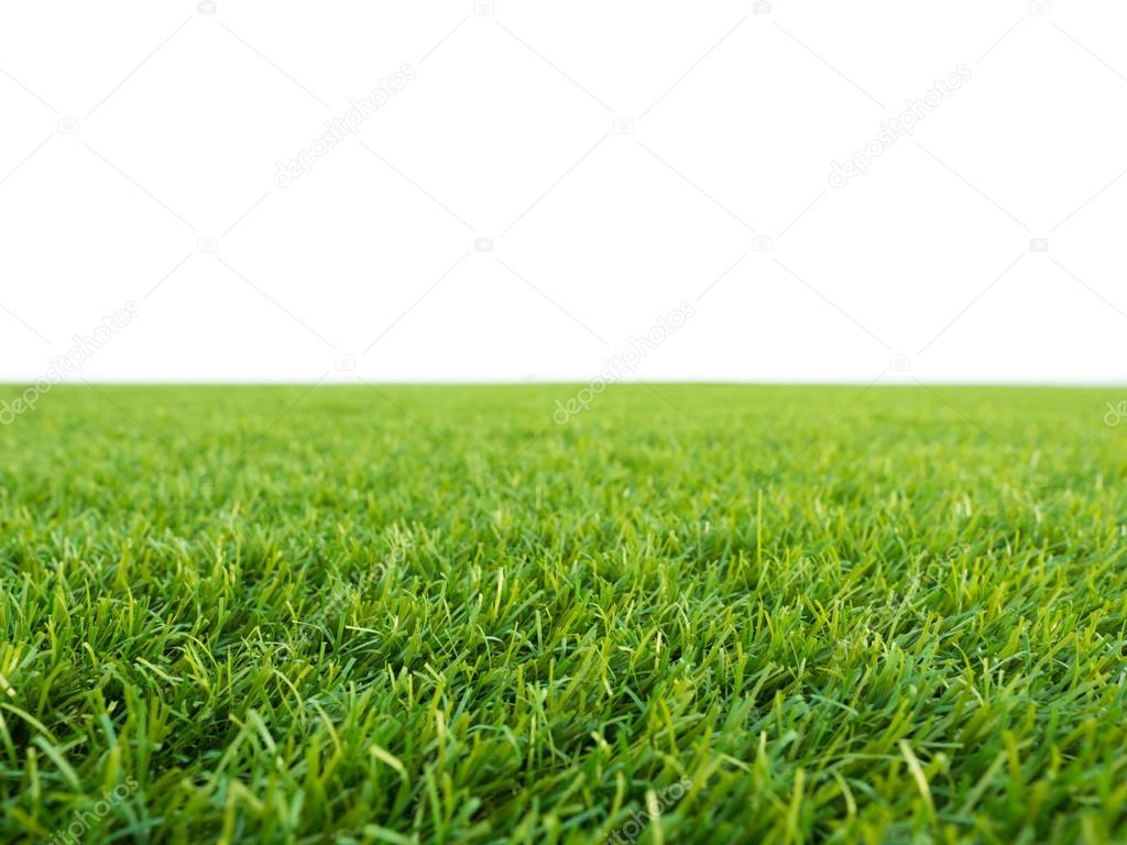 green grass on white background