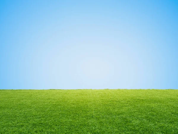 Hierba verde sobre fondo azul cielo —  Fotos de Stock