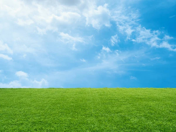 Hierba verde sobre fondo azul cielo — Foto de Stock