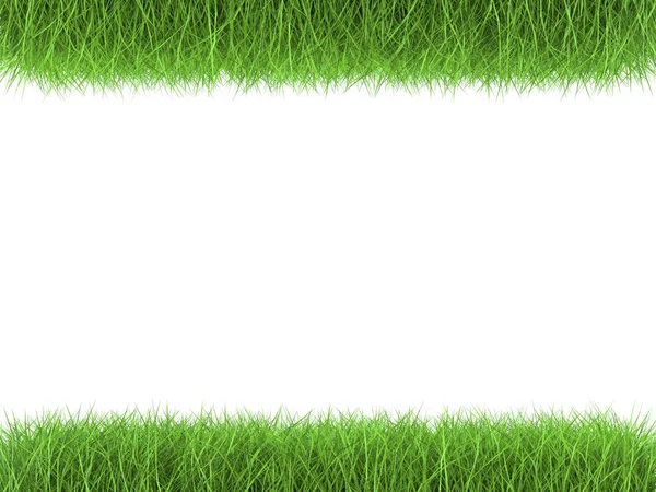 Hierba verde paralela sobre fondo blanco —  Fotos de Stock
