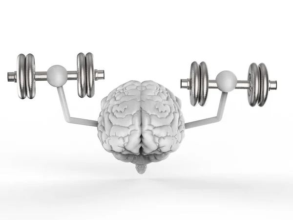 Brain holding dumbbells — Stock Photo, Image