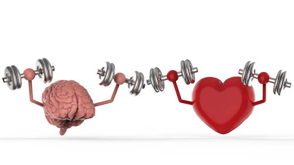 Cerebro y corazón sosteniendo pesas — Foto de Stock