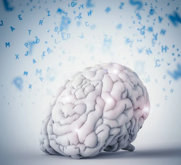Aprendizagem cerebral humana — Fotografia de Stock