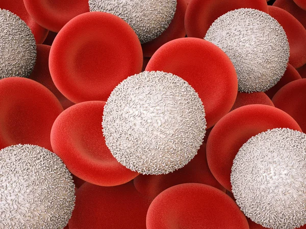 Glóbulos blancos con glóbulos rojos —  Fotos de Stock