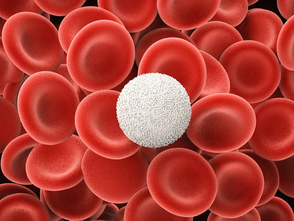 Λευκά κύτταρα αίματος, με ερυθρά αιμοσφαίρια — Φωτογραφία Αρχείου