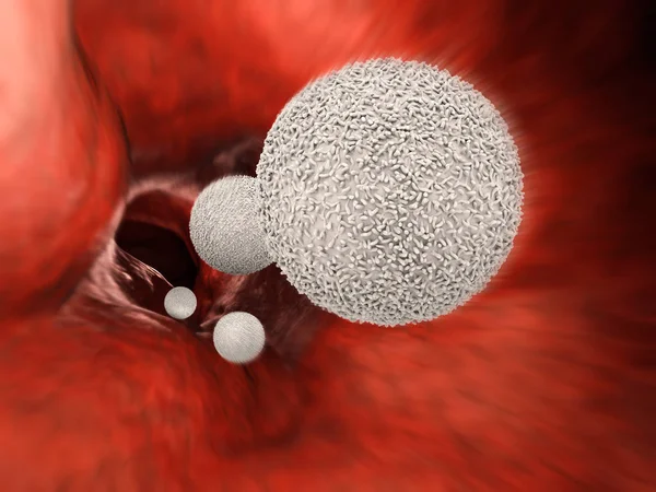 静脉血白细胞 — 图库照片