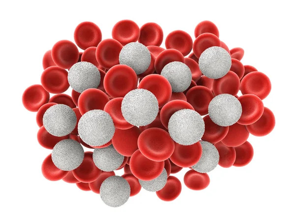 Vita blodkroppar med röda blodkroppar — Stockfoto