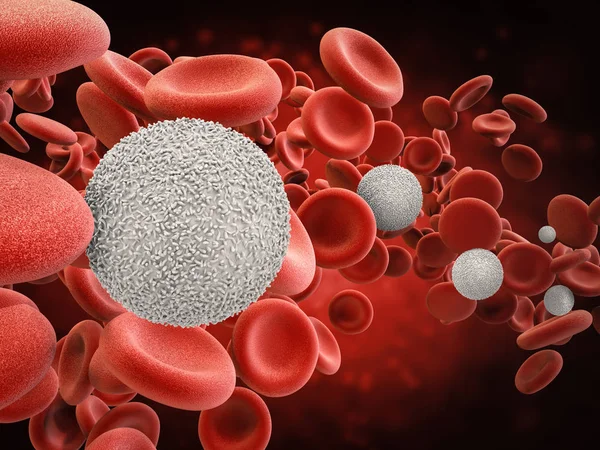 white blood cells with red blood cells