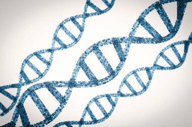 DNA sarmalının veya dna yapısı