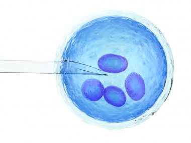 artificial insemination or ivf clipart