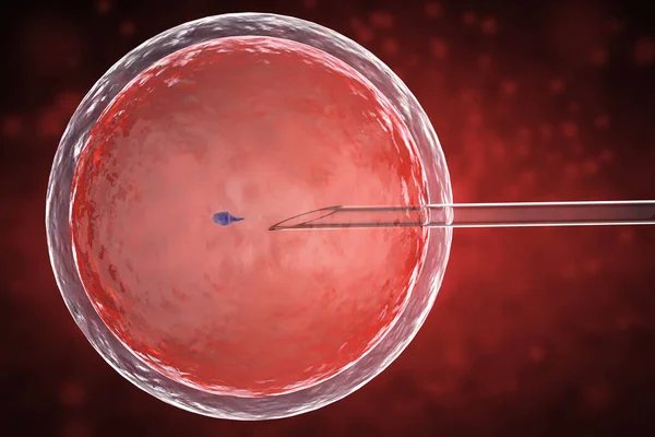 Inseminazione artificiale o IVF — Foto Stock