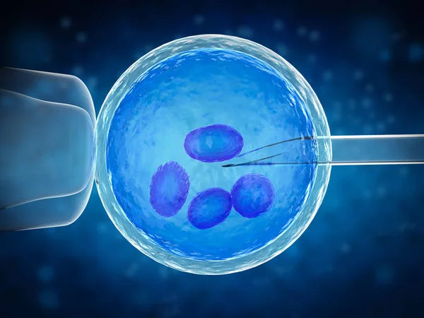 Inseminazione artificiale o IVF — Foto Stock