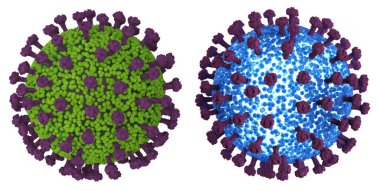 3D koronavirüs hücresi ya da covid-19 hücresi beyaza izole edildi