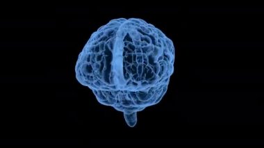 3D X-ışını insan beyni siyah arka planda 4k animasyon