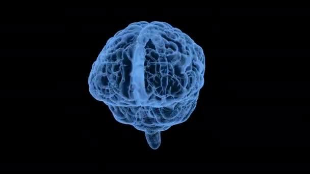 Απόδοση Του Ανθρώπινου Εγκεφάλου Ακτίνων Μαύρο Φόντο Animation — Αρχείο Βίντεο