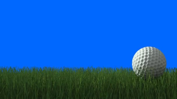 Rendering Pallina Golf Erba Verde Sfondo Schermo Blu — Video Stock