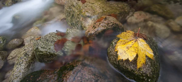 Herbst Fluss mit Laub auf den Felsen — Stockfoto