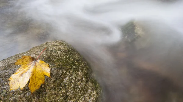 Podzimní řeka s listy na skalách — Stock fotografie