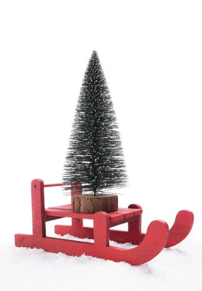 Red sled carrying a pine tree — Stock Photo, Image