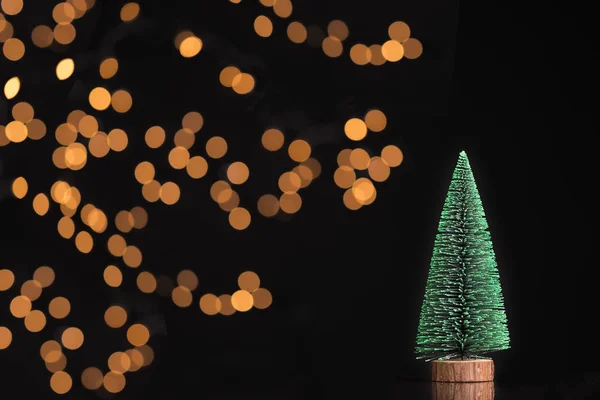 Pine tree on bokeh background — Stock Photo, Image