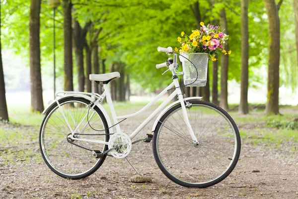 Oldtimer-Fahrrad mit Blumen im Korb im Park — Stockfoto