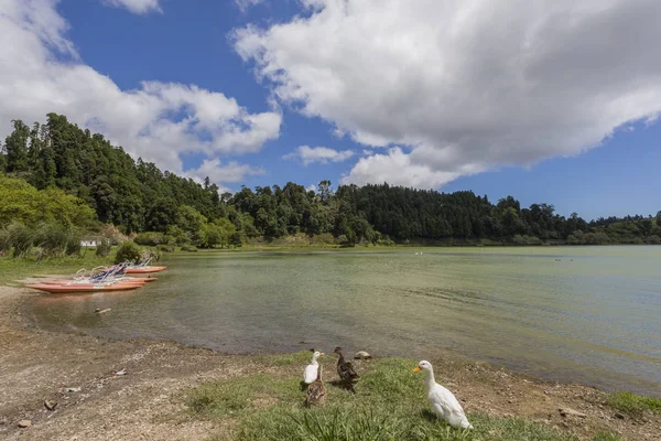 Lagoa das Furnas dans l'île So Miguel au Portugal — Photo