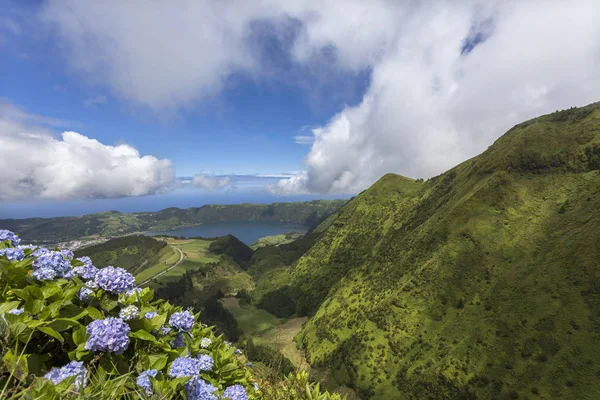 Miradouro com hortênsias sobre o Lago das Sete Cidades — Fotografia de Stock