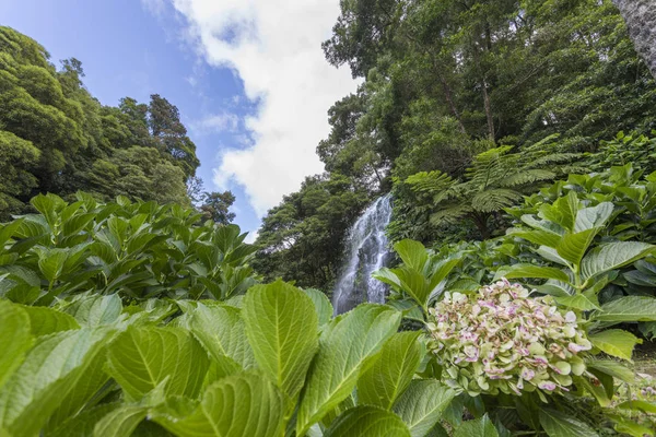 Air terjun yang indah di Pulau Sao Miguel — Stok Foto