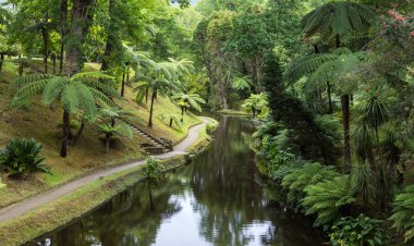 Terra Nostra park, Sao Miguel Iskand, Azor