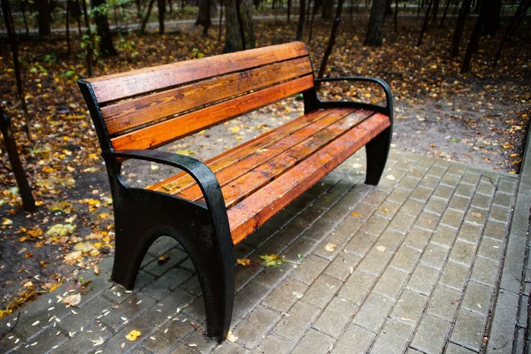 Banc dans le parc d'été avec de vieux arbres et sentier pédestre — Photo