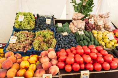 taze ve organik sebze Çiftçi Market