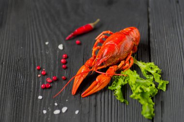 Kırmızı haşlanmış clayfish, makro yakın çekim.