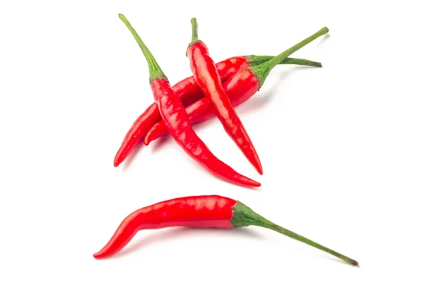 Peperoncino rosso isolato su fondo bianco — Foto Stock