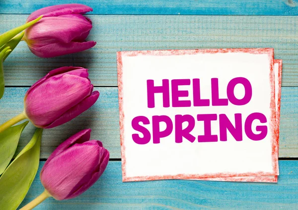 Lale ile metin bahar geliyor